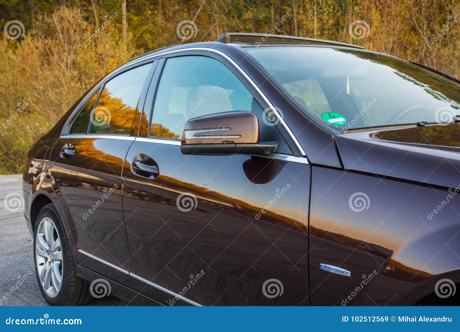 German Luxurious Sedan Car Xxl Sunroof Red Brown Leather