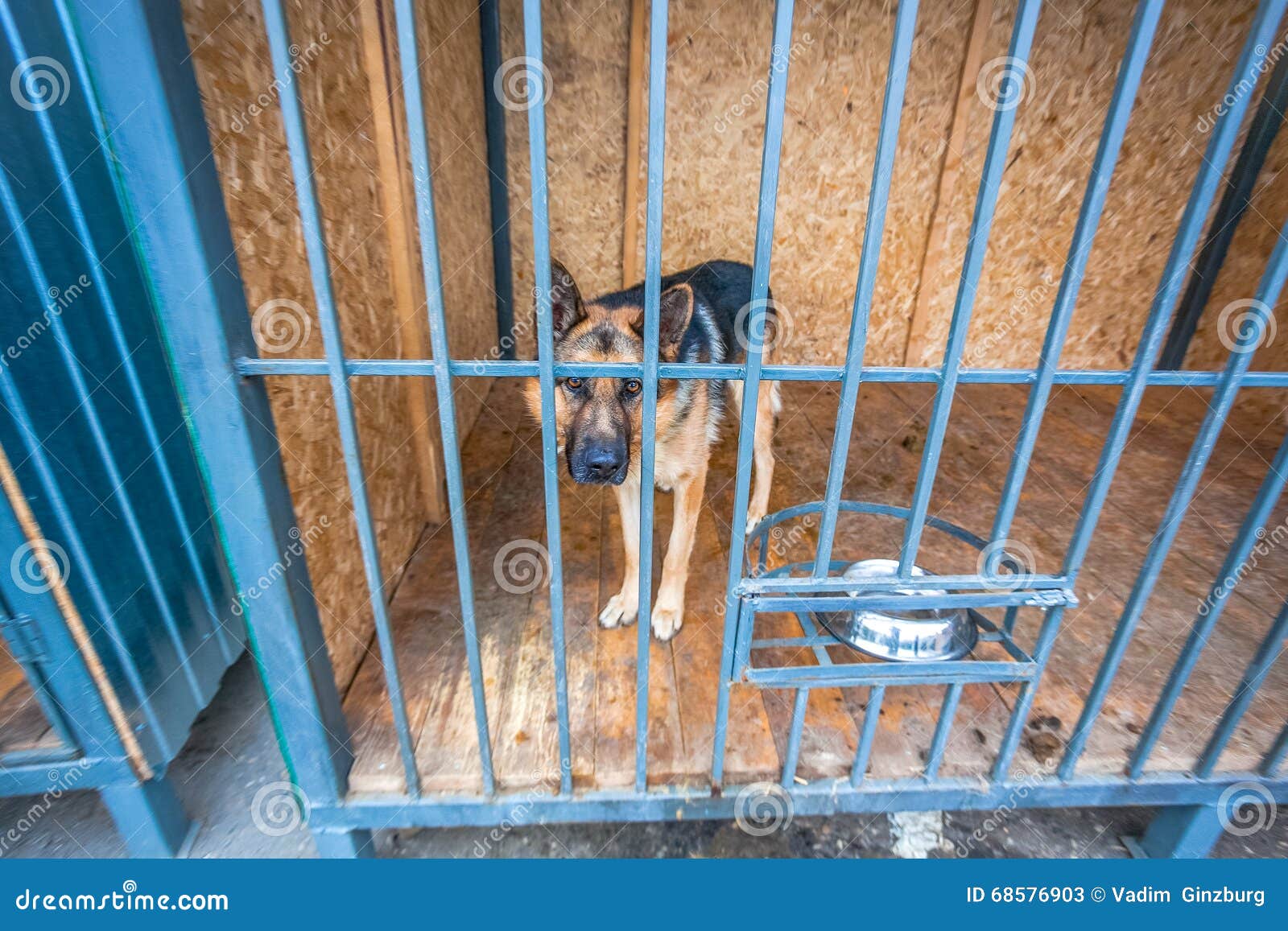 german shepherd cage