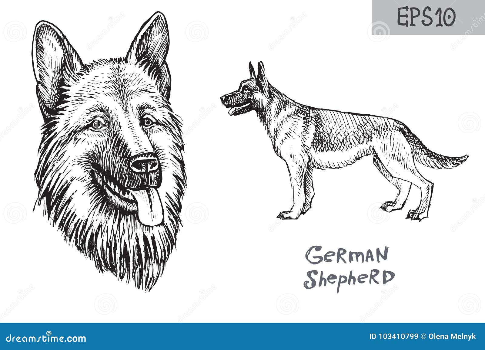 Featured image of post German Shepherd Side View Drawing Although gsds are sometimes slow to warm to strangers