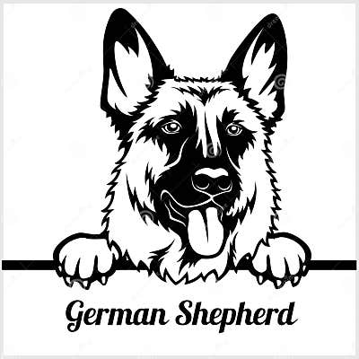 German Shepherd - Peeking Dogs - - Breed Face Head Isolated on White ...