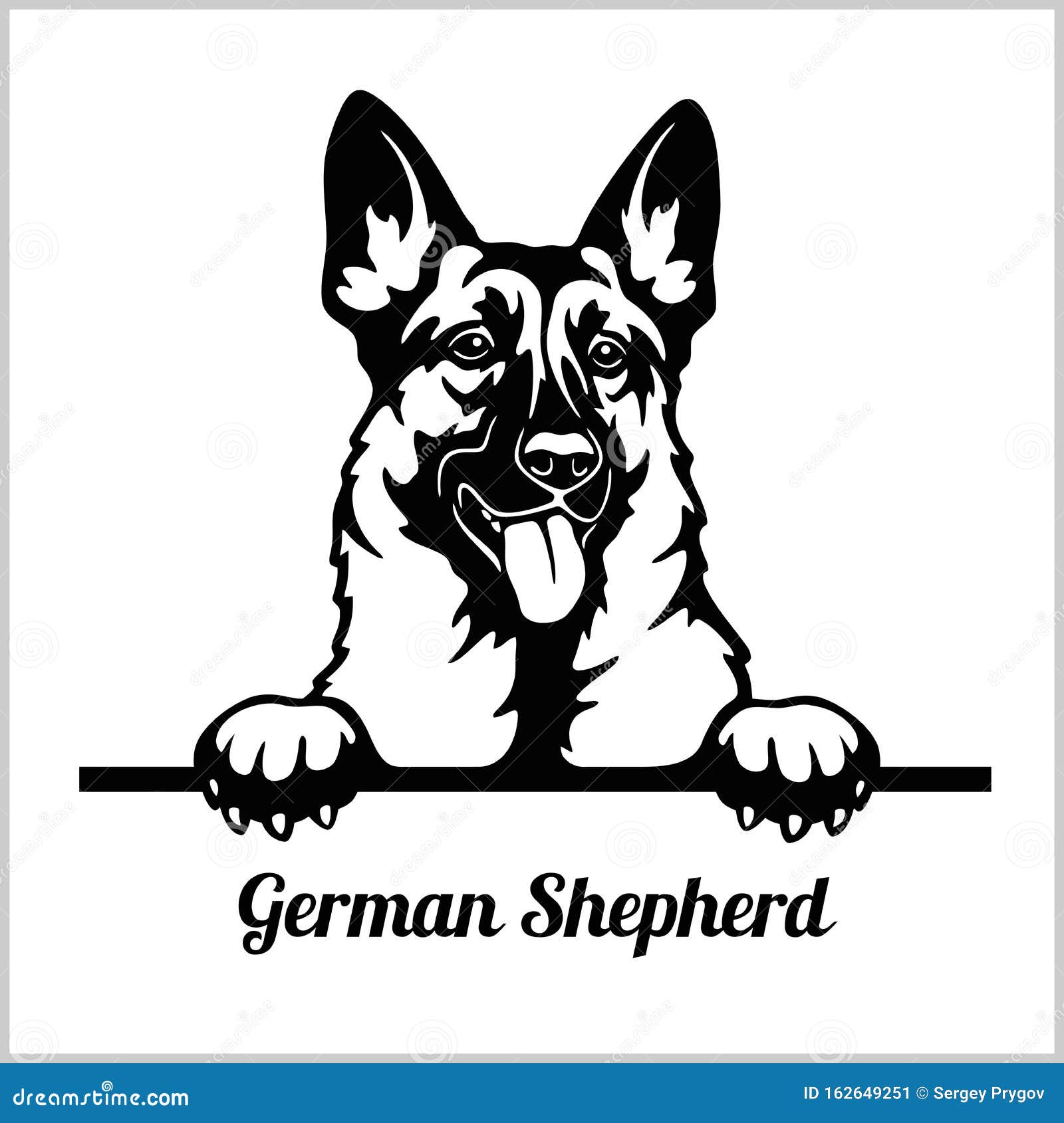 german shepherd - peeking dogs - - breed face head  on white