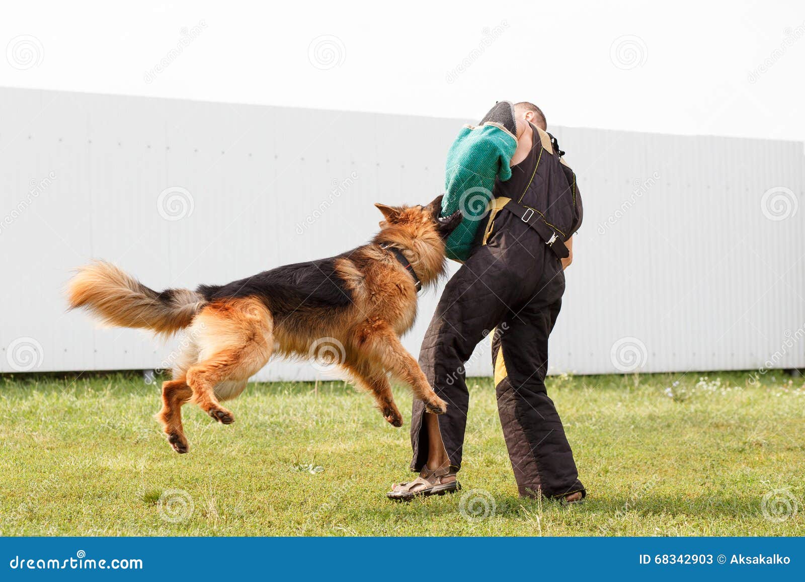 german shepherd defense training