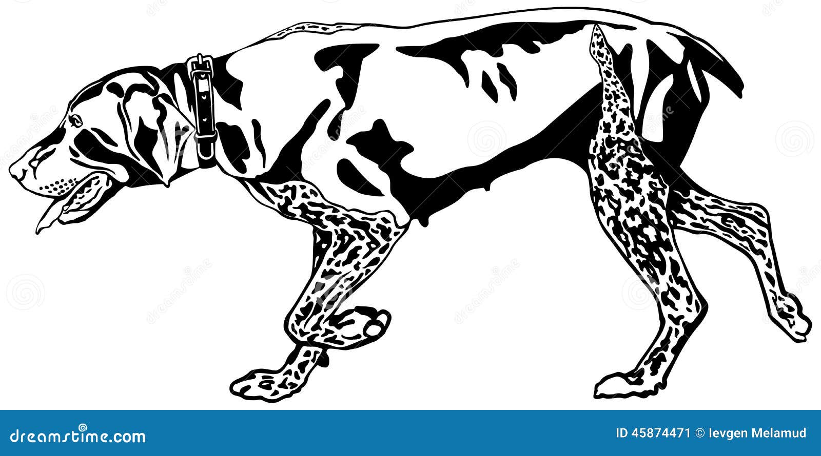 free clip art hunting dogs - photo #45