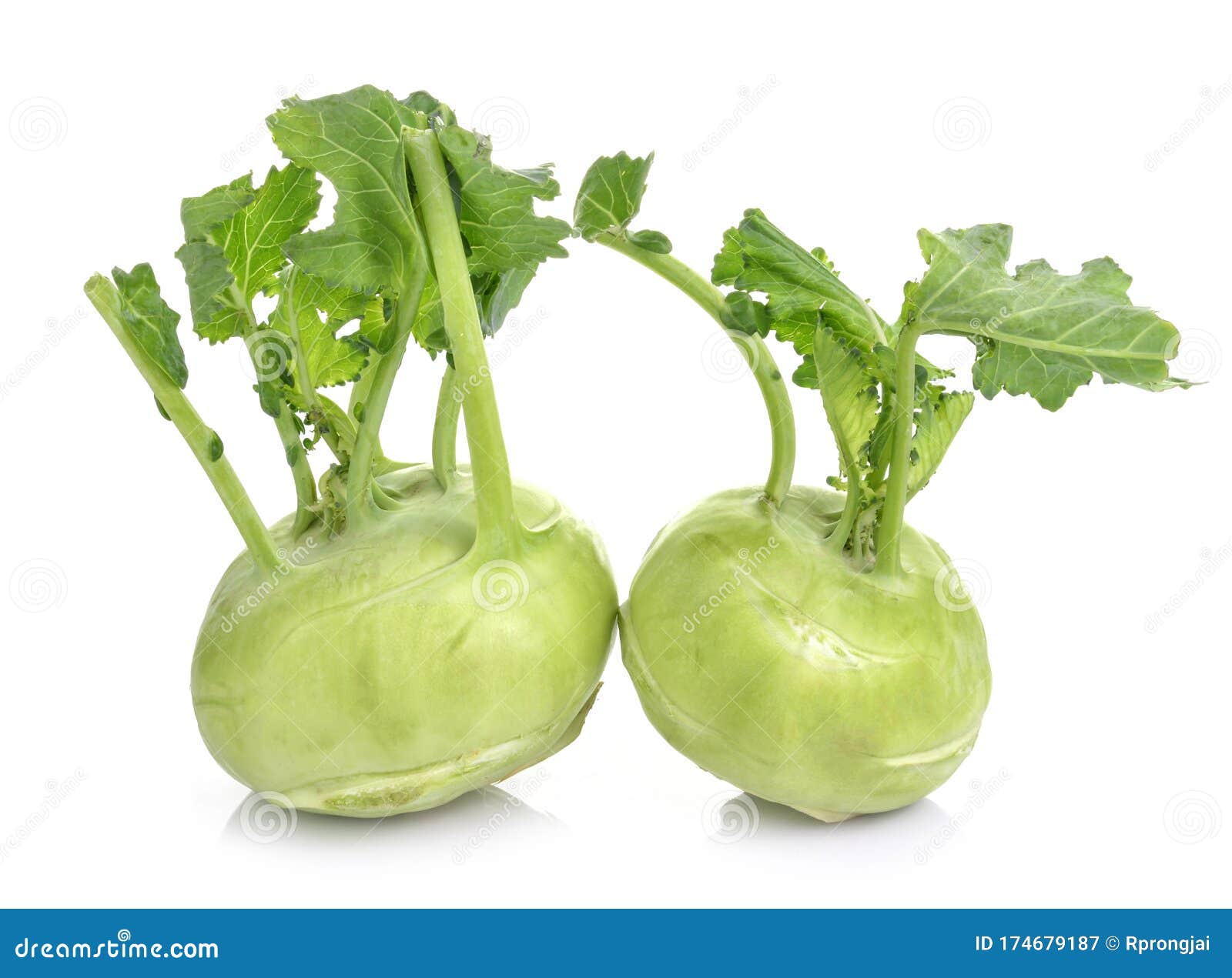 German turnips stock image. Image of plant, fresh, healthy 174679187