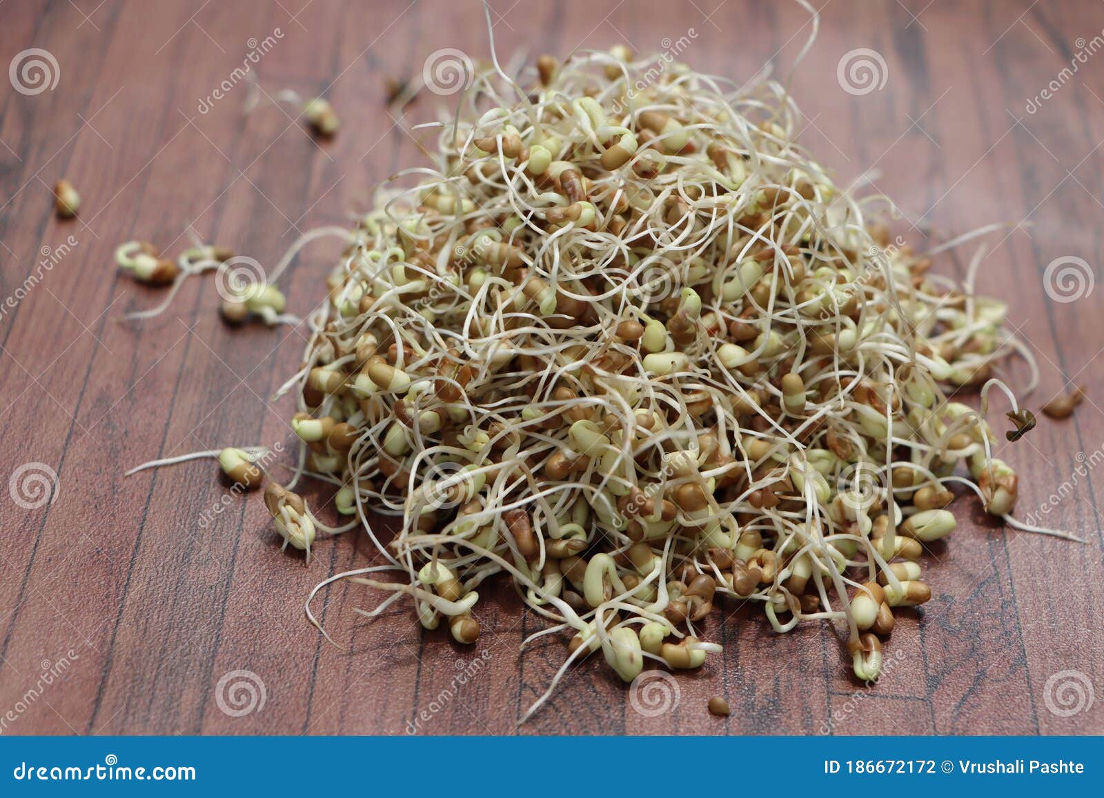 Germinated Moth Beans, Healthy Diet Stock Photo Image of cuisine