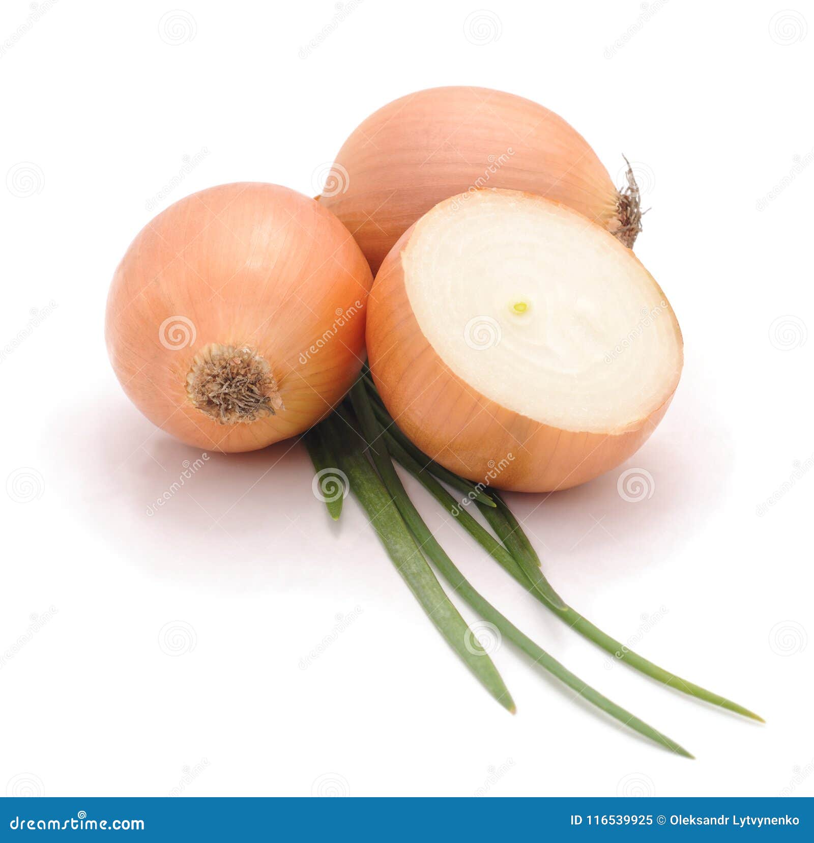 Germinating green onion. stock image. Image of refreshment 116539925