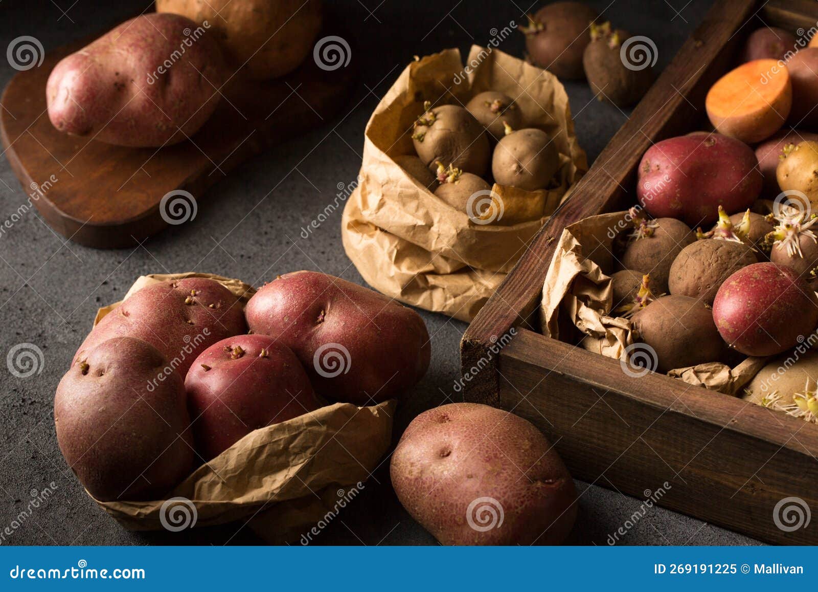 Germination of Sprouts on Potatoes for Planting in the Ground Stock