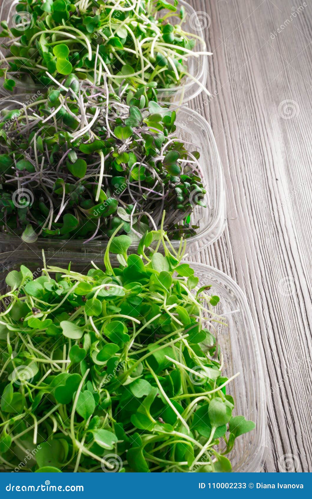 Bavicchi Semi Per Germogli Di Pisello Verde Bio - Shop Online Italia - Foto 7