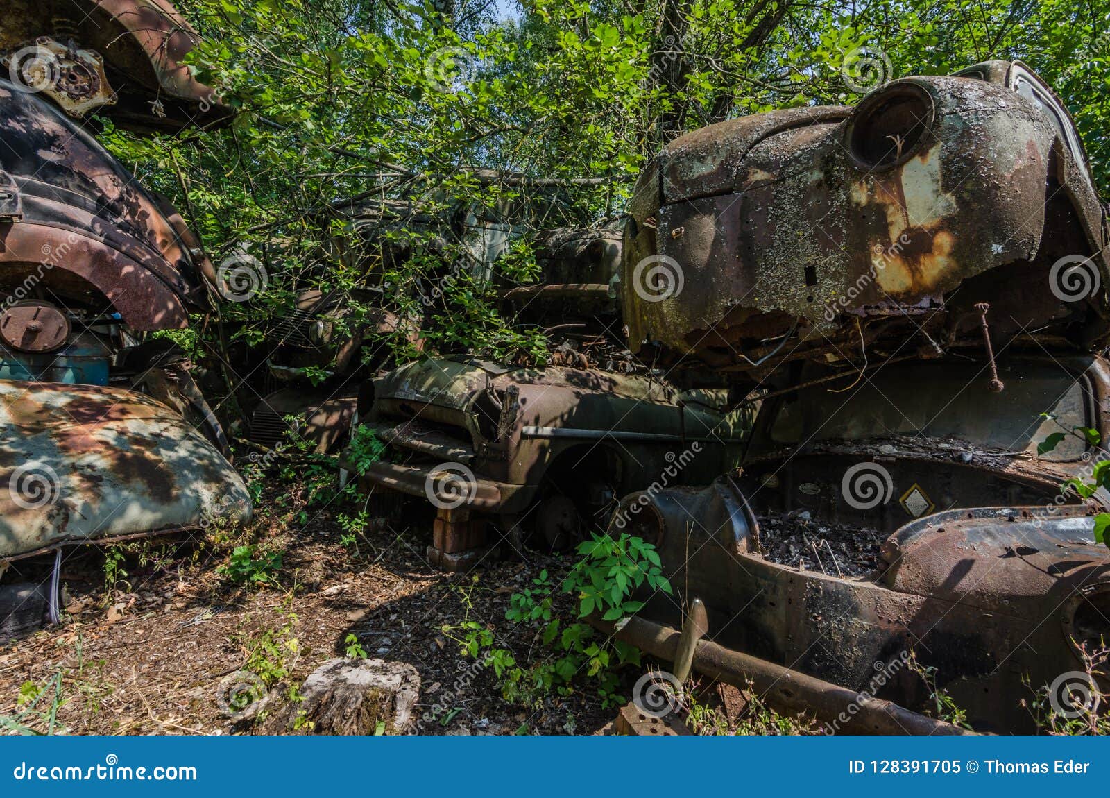 Geroeste Oude Auto Op Een Overwoekerde Plaats Redactionele Afbeelding