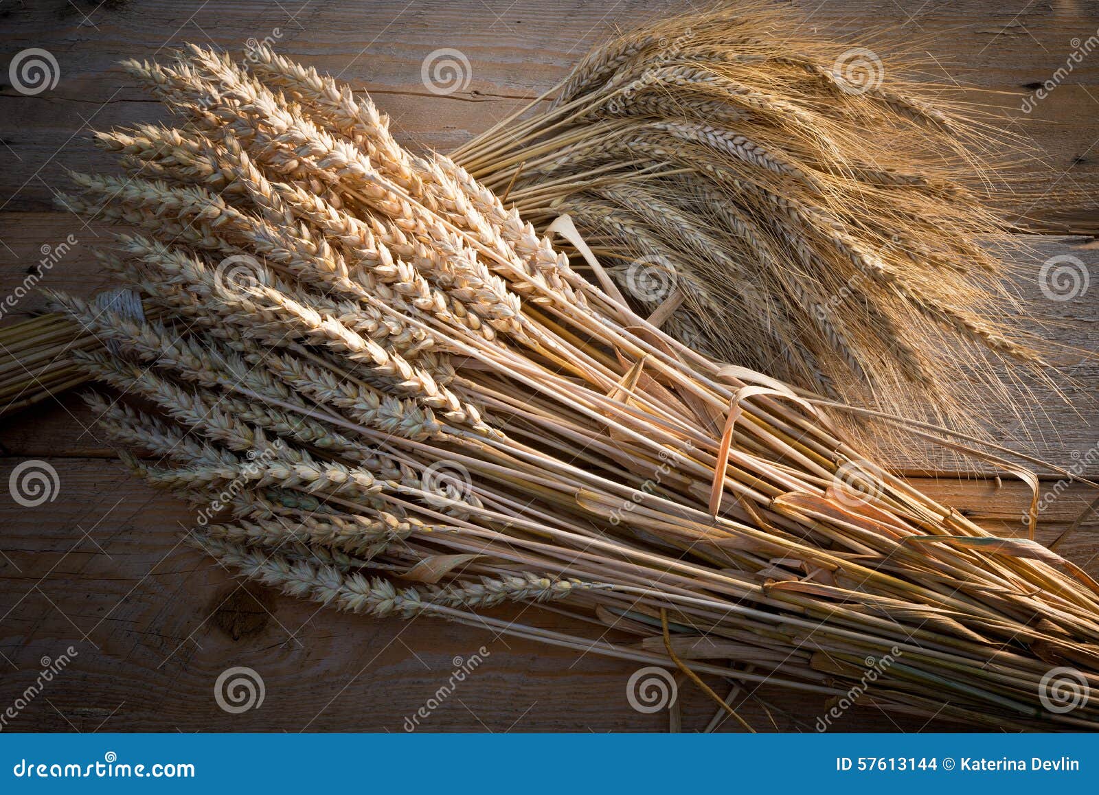100 Stück Getrocknete Weizenähren - Natürliche Deko Für Rustikalen Stil