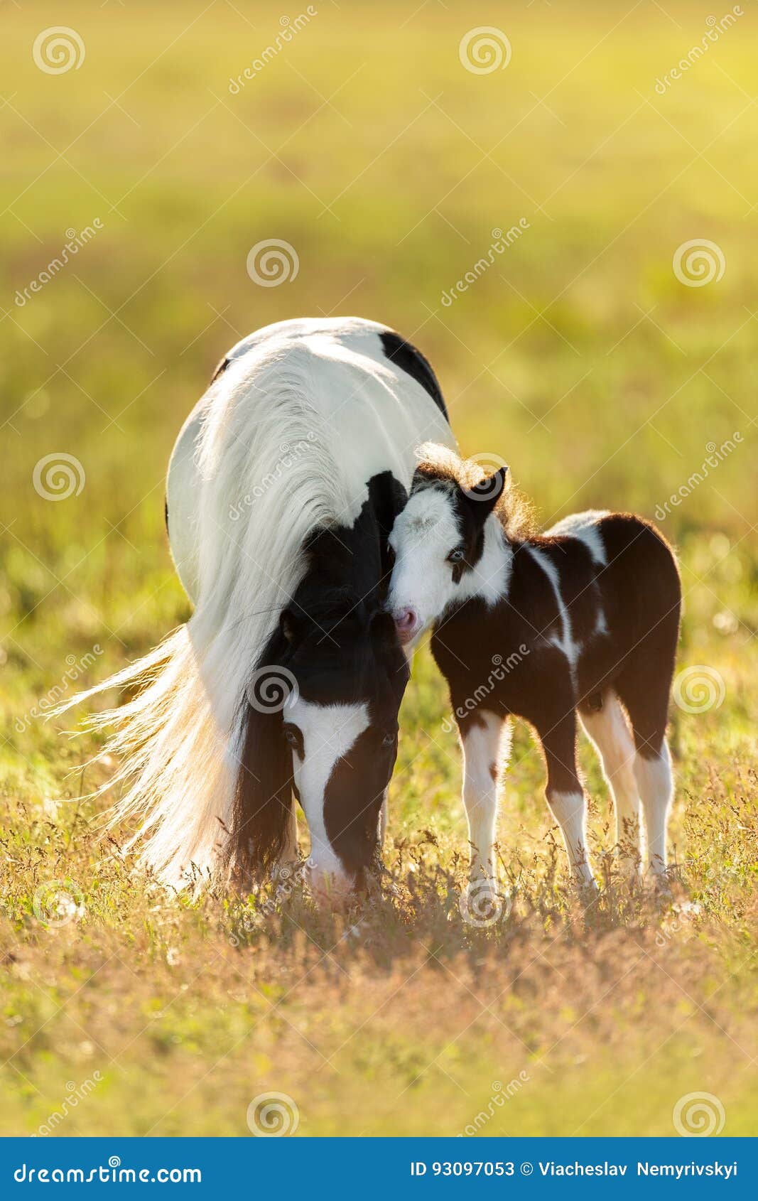 1x Poesiebilder Oblaten Pferde 199 Glanzbilder Wildpferde braun Fohlen Pony