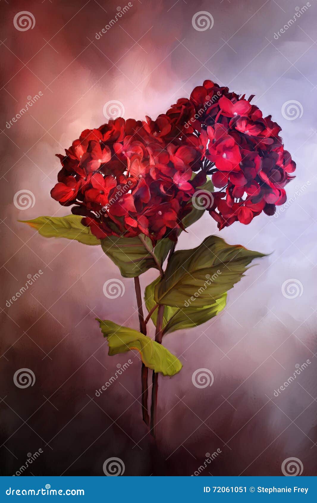 Geschilderde Rode Hydrangea Hortensia's Stock Illustratie ...