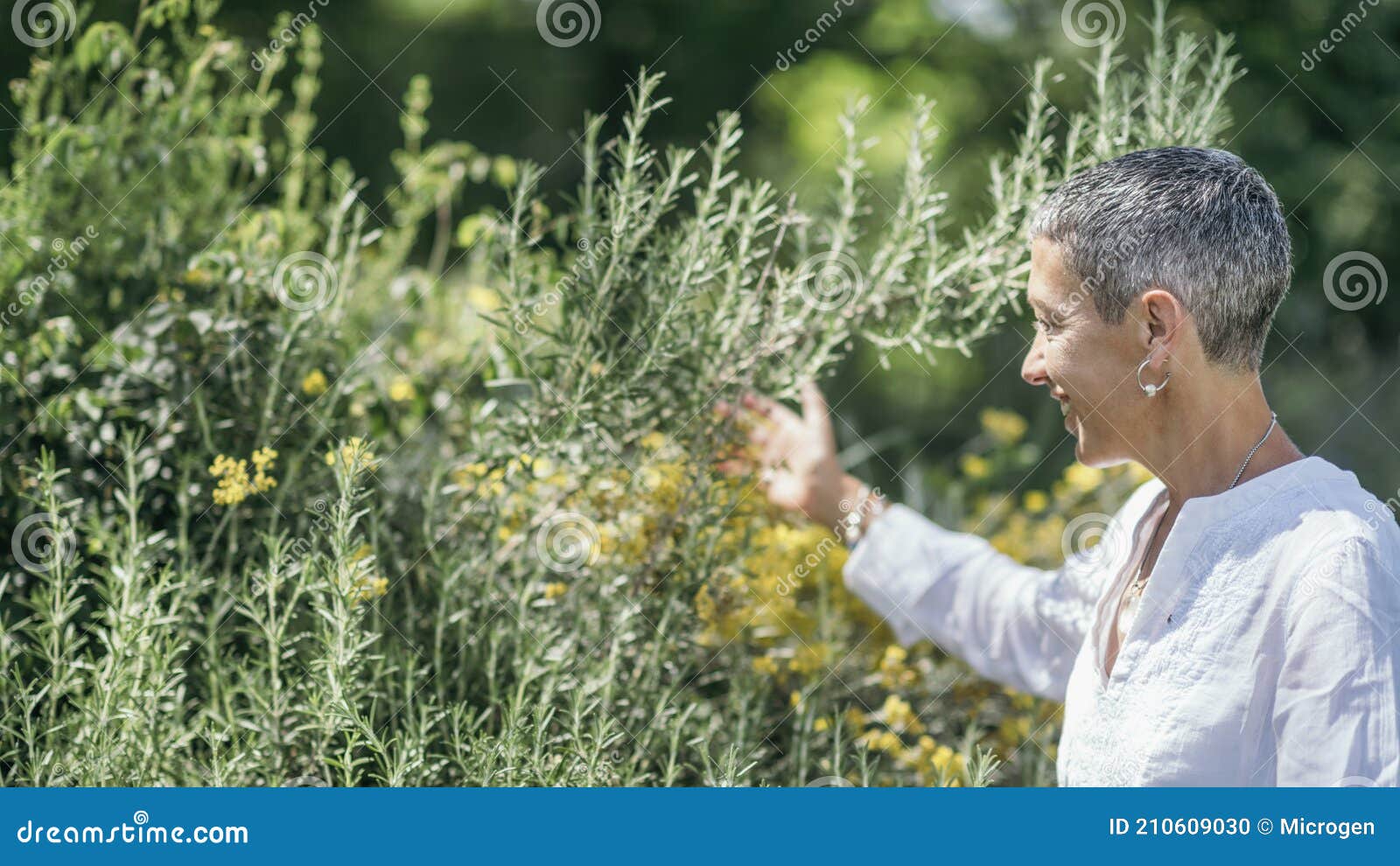 Planta e Gratidão, Pesquisa Especial