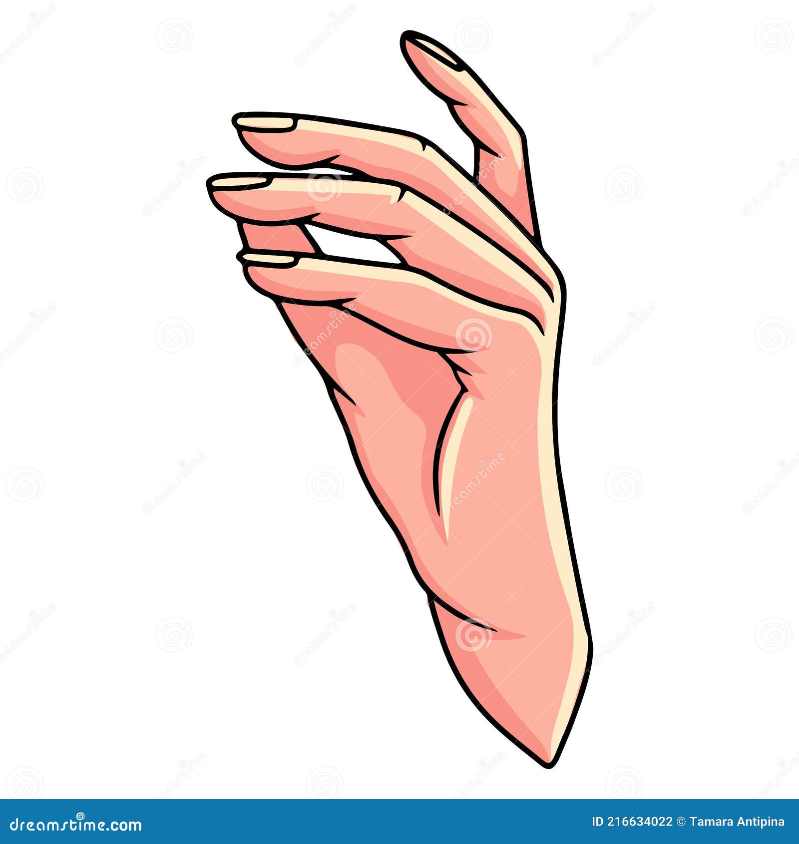 Gesto De Mano. Mano De Mujer. Gestos De Mano. Estilo De Dibujos Animados. Ilustración del Vector - Ilustración de arte, pulgar: 216634022 Gesto De Mano. Mano De Mujer. Gestos De Mano. Estilo De Dibujos Animados. Ilustración del Vector - Ilustración de arte, pulgar: 216634022