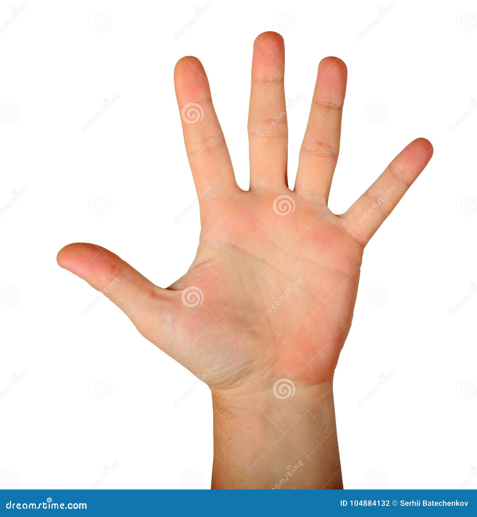 Gesture Male Hand Open Palm with Five Fingers Stock Photo - Image of  people, human: 104884132