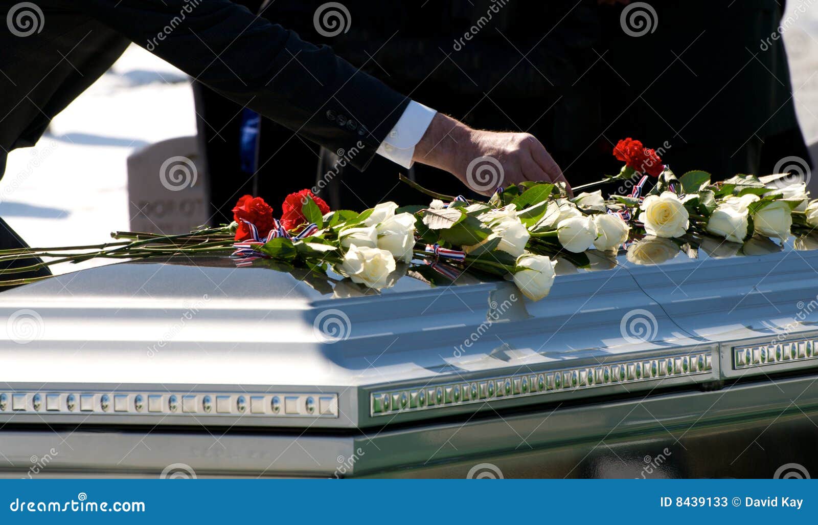 Gesture of Tribute stock image. Image of memorial, sacrifice 8439133