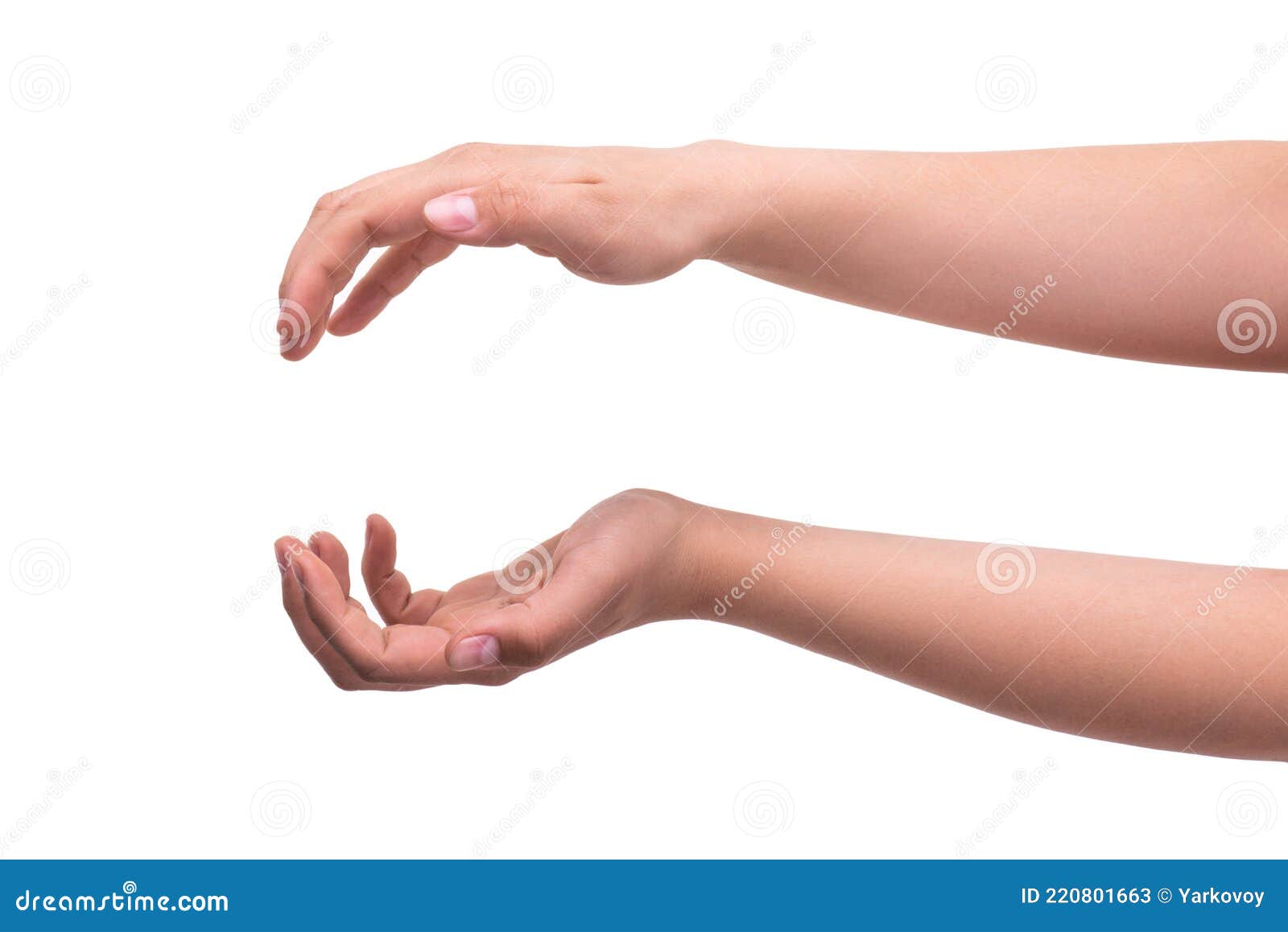 Gesture with Two Hands To Grab, Grasp Something. Isolated on White