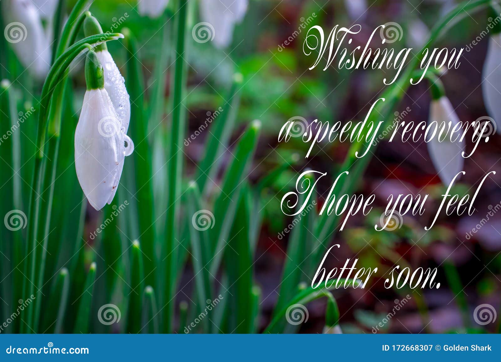 Get Well Soon, White Flowers with Text Feel Better Soon Stock ...