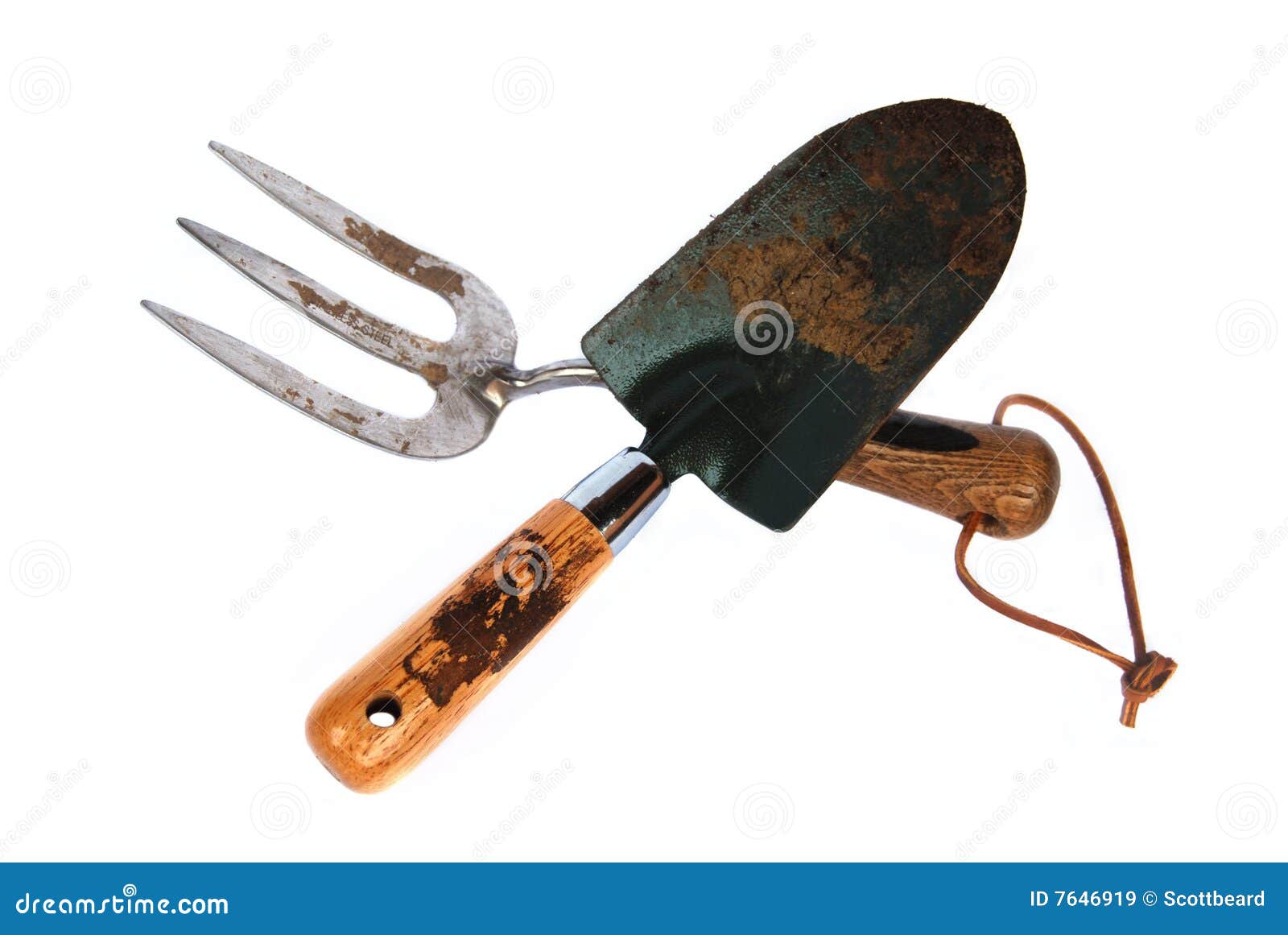 Getrennte Garten Gabel Und Trowelhilfsmittel Stockbild