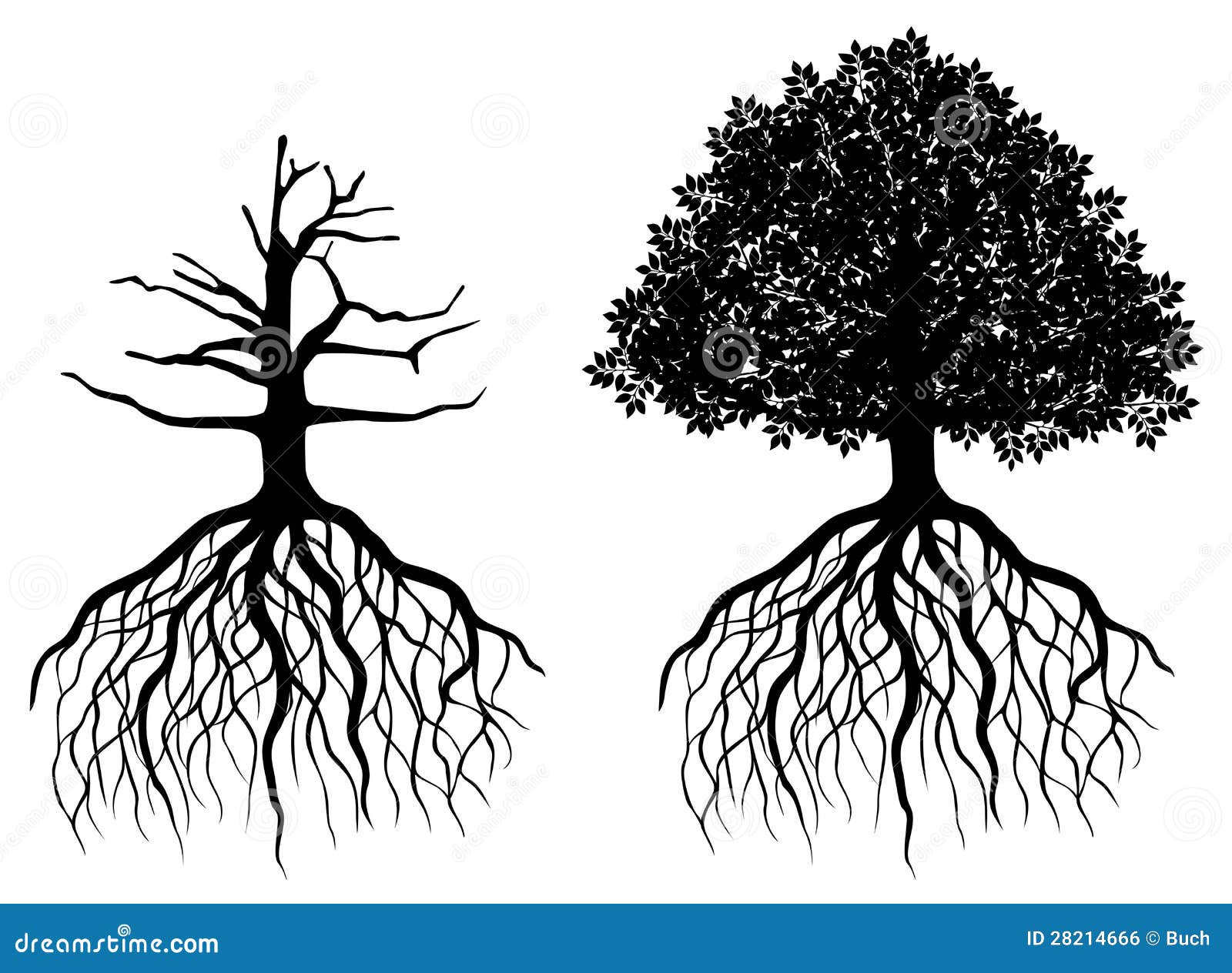 Getrennter Baum Mit Wurzeln Vektor Abbildung Illustration Von Wurzeln Baum