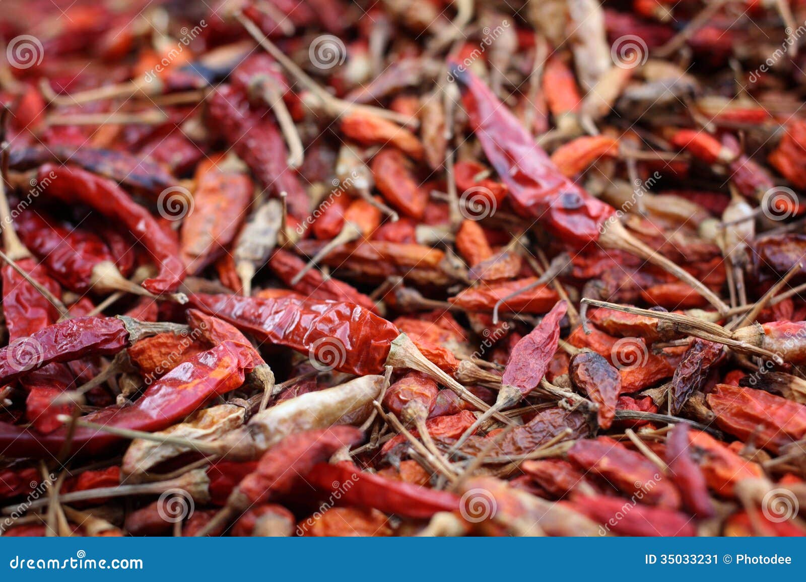 Getrocknete rote Paprikas. stockbild. Bild von würzig - 35033231