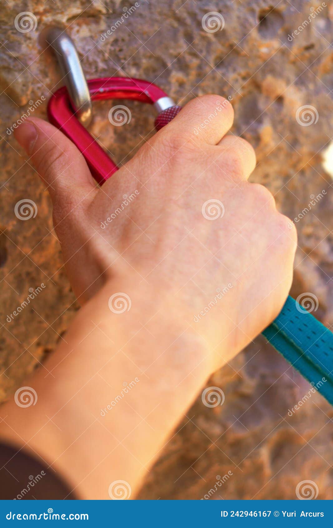 Getting a Stable Grip. Closeup of a Climbers Hands Clipping a Quickdraw