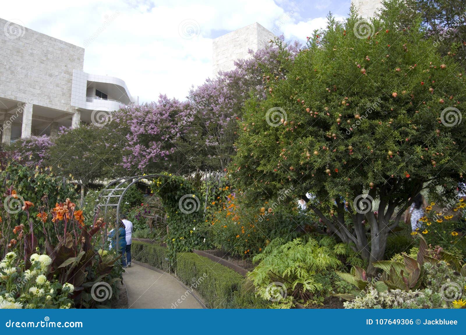 Getty Museum Garden Los Angeles Editorial Photo Image Of America