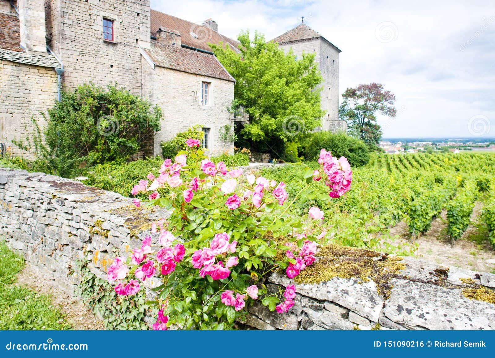 gevrey-chambertin castle, cote de nuits, burgundy, france