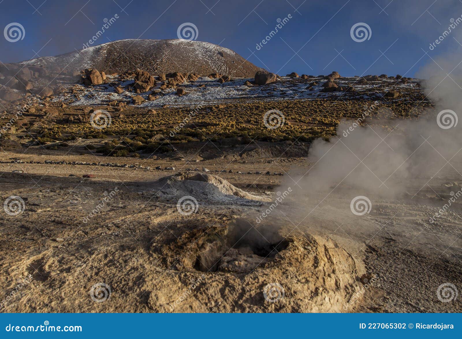 geyser of tatio - desierto de atacama - chile