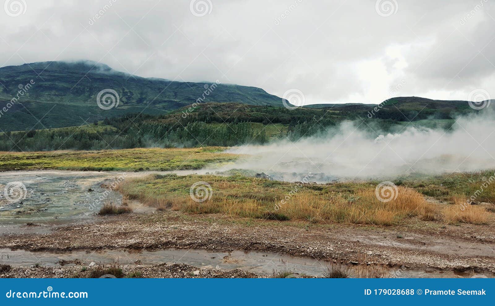 Geysir, the Erupting Hot Spring Geysir on Iceland Stock Photo Image