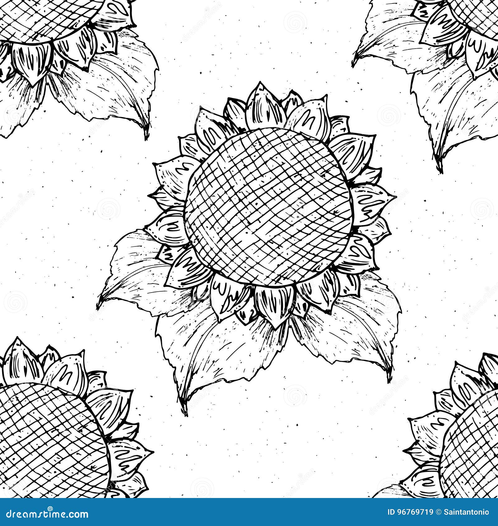 Sonnenblume Skizze Vektorsamen Blühende Blumen Sammlung Stock Vektor Art  und mehr Bilder von Altertümlich - iStock
