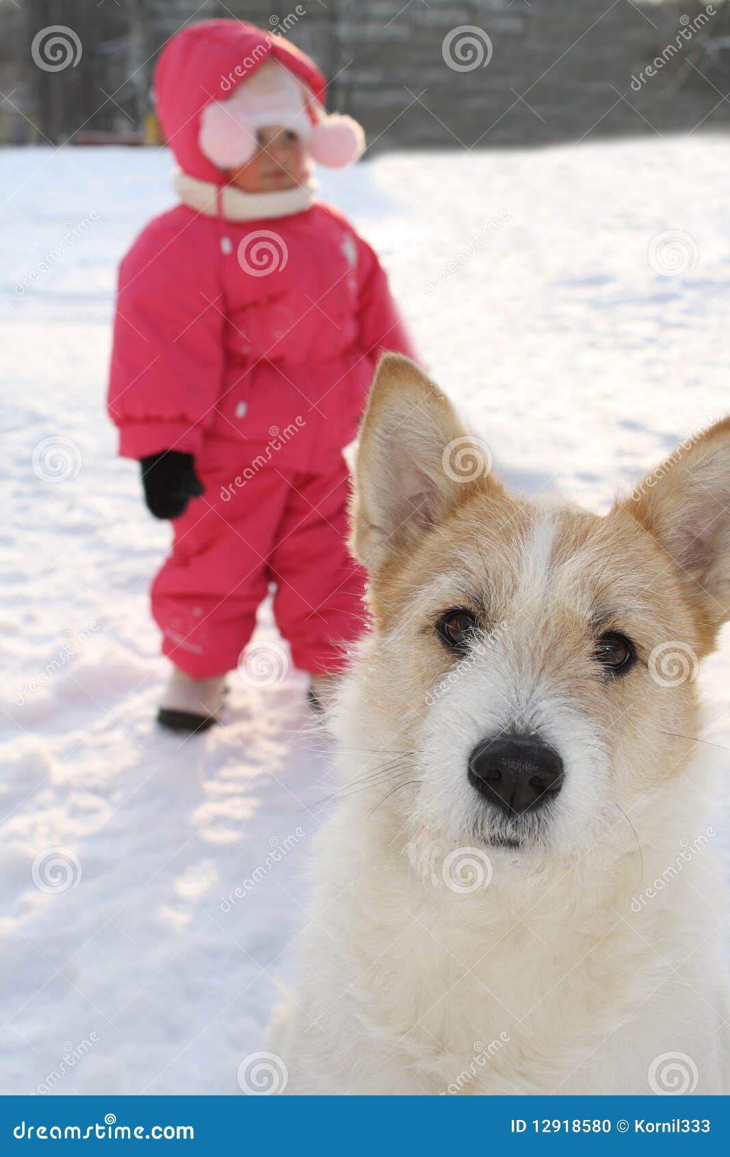 Gezicht van een hond. Portret van een mooie hond en het kleine kind in een rood jasje op een achterachtergrond.
