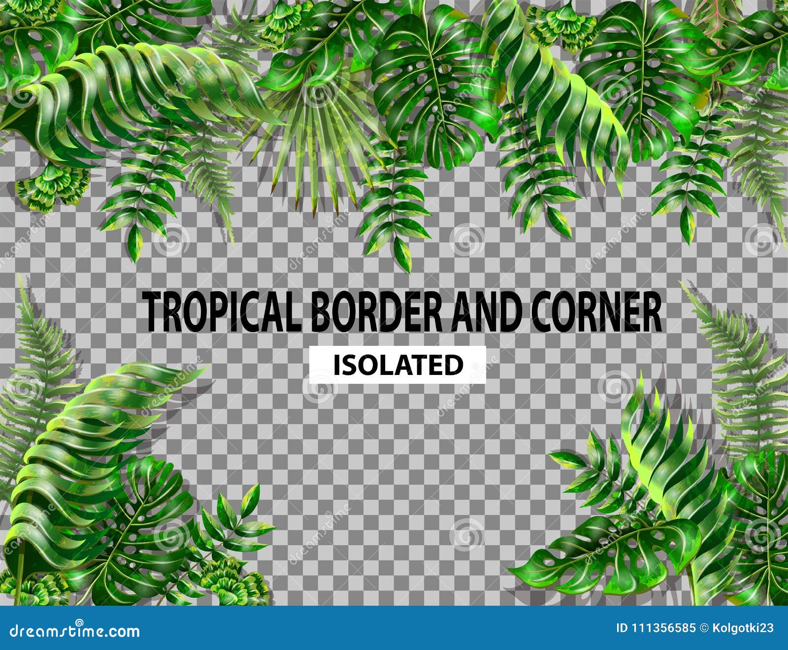 Geïsoleerde grens en hoek met tropische bladeren Monstera, varen en naadloze palmbladengrens