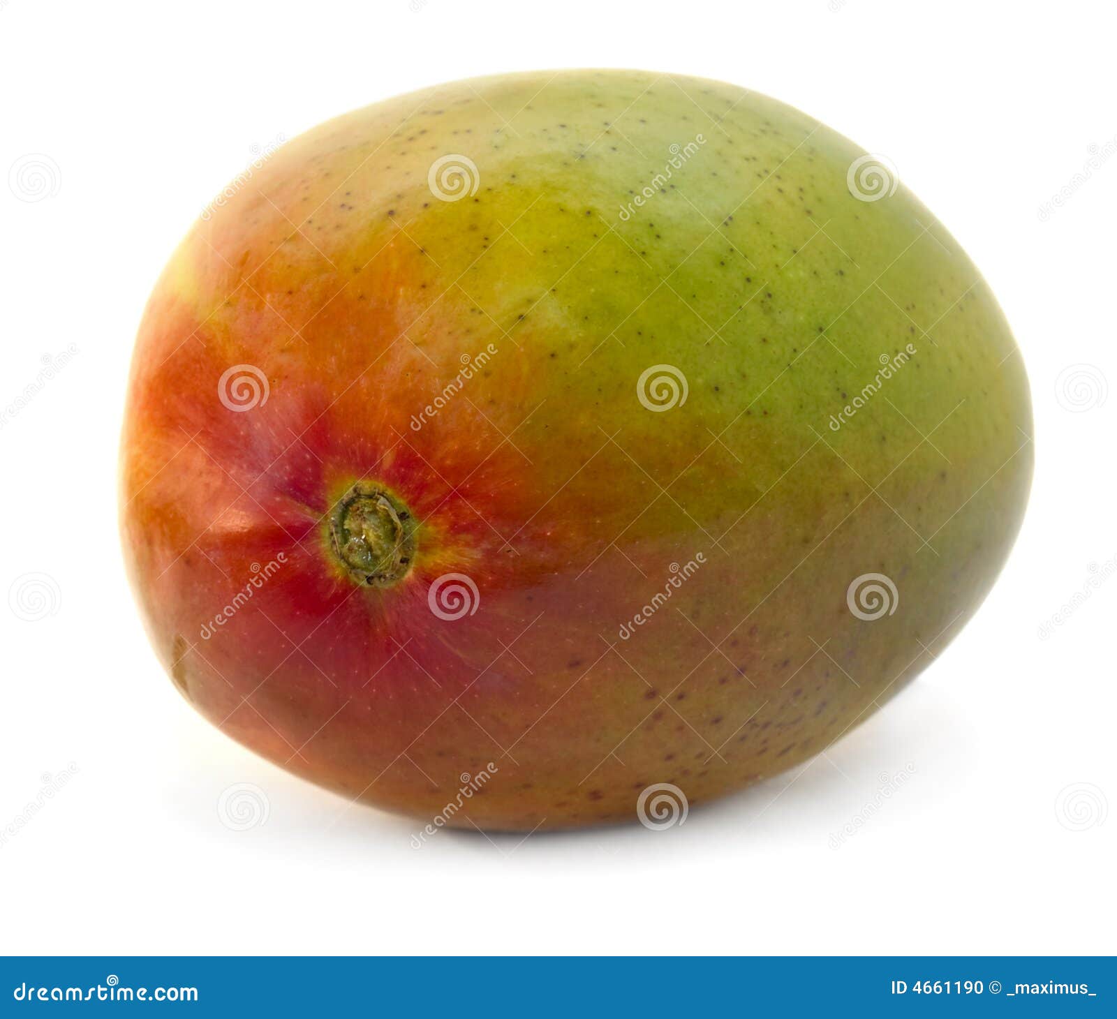 Geïsoleerde mango. Close-up van mangofruit dat over wit wordt geïsoleerdm. trillende kleuren