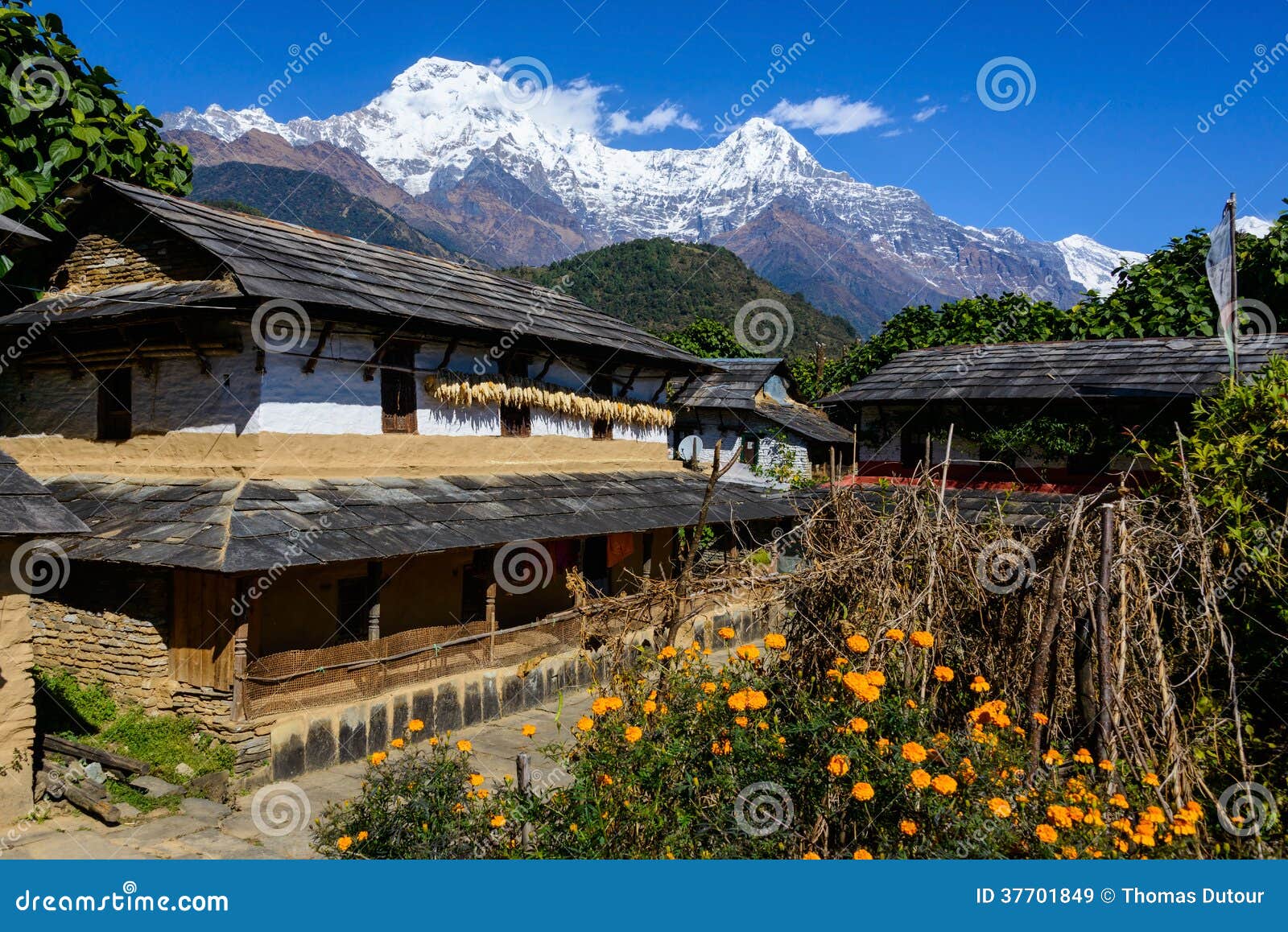 ghandruk village in the annapurna region