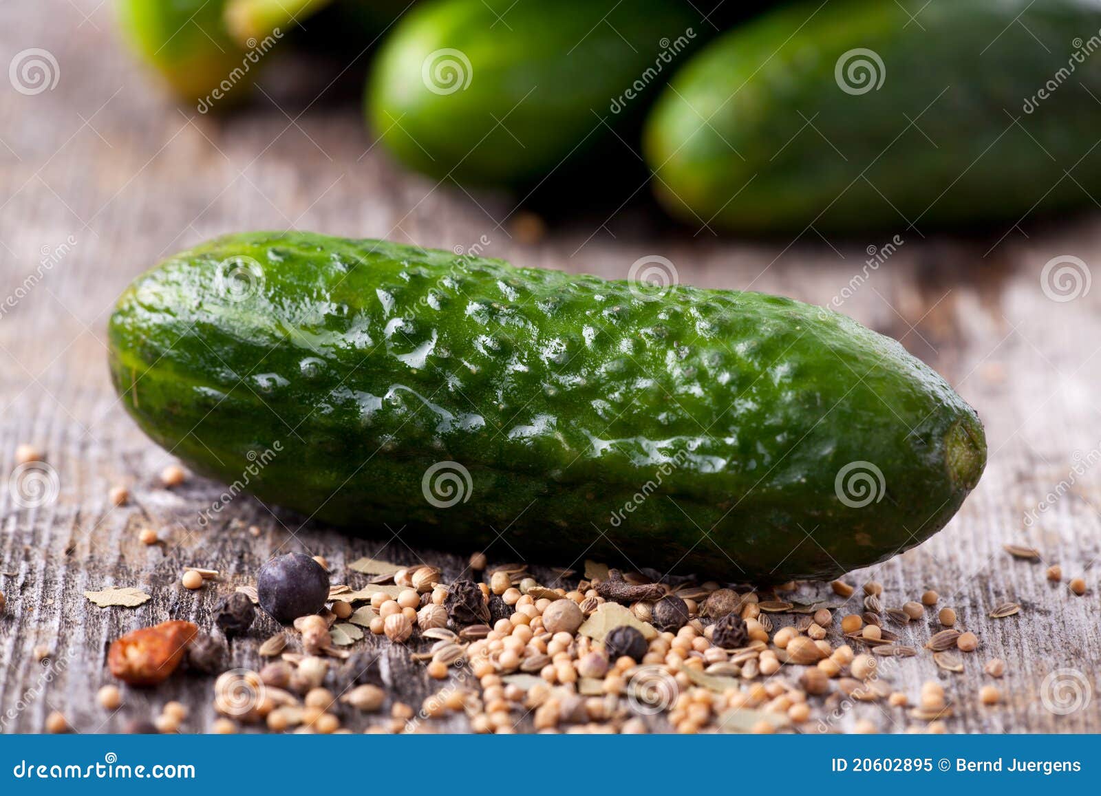 Gherkins stock image. Image of making, chili, eating 20602895