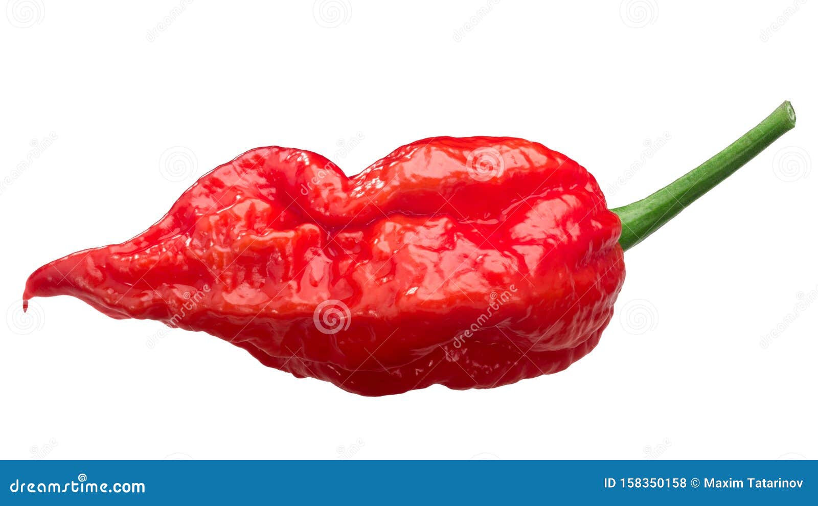 Bhut Jolokia Ghost Pepper C. Chinense, Paths Stock Photo - Image of fresh, ...