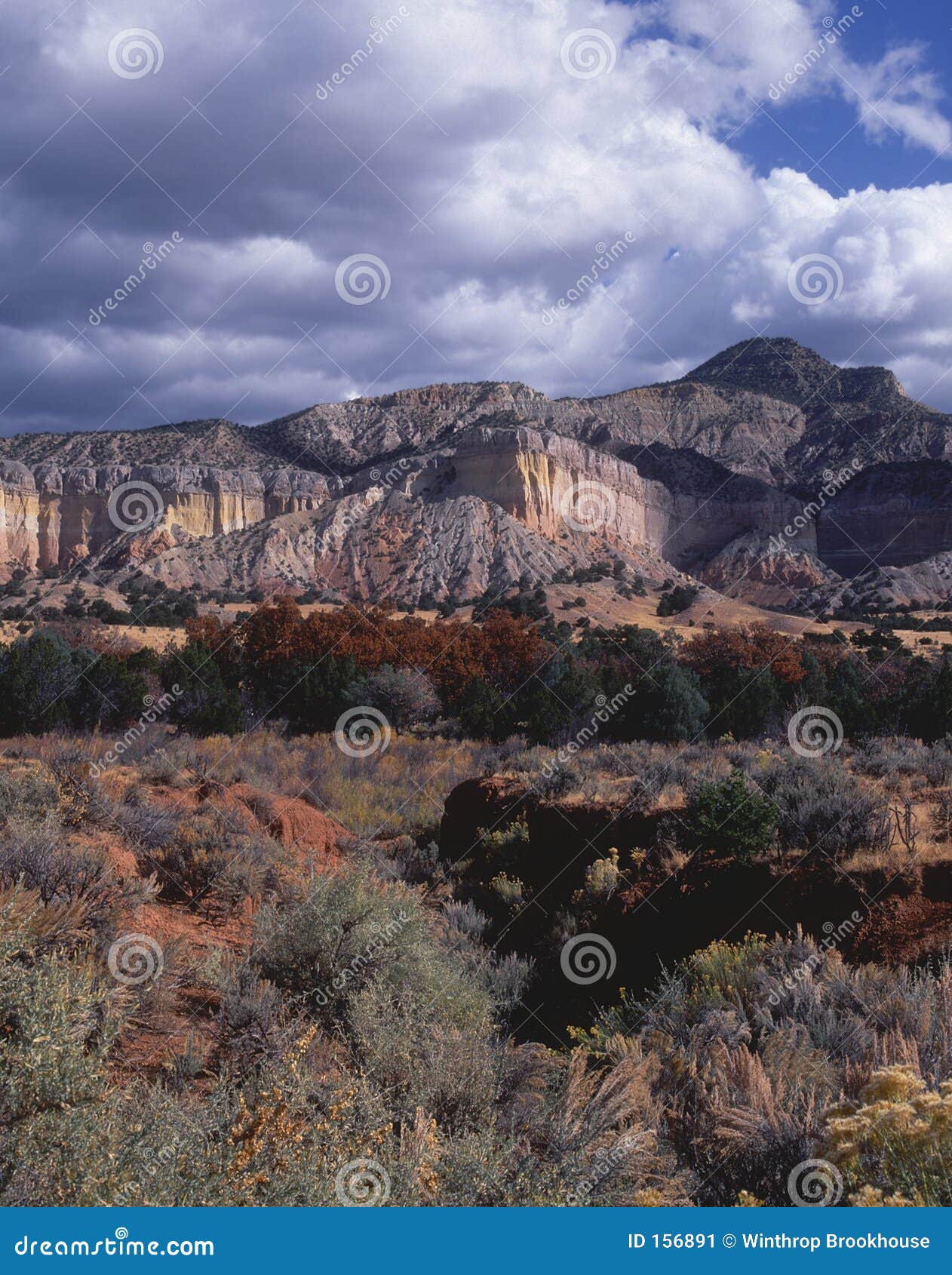 Chapparal New Mexico Stock Photos Free & RoyaltyFree Stock Photos