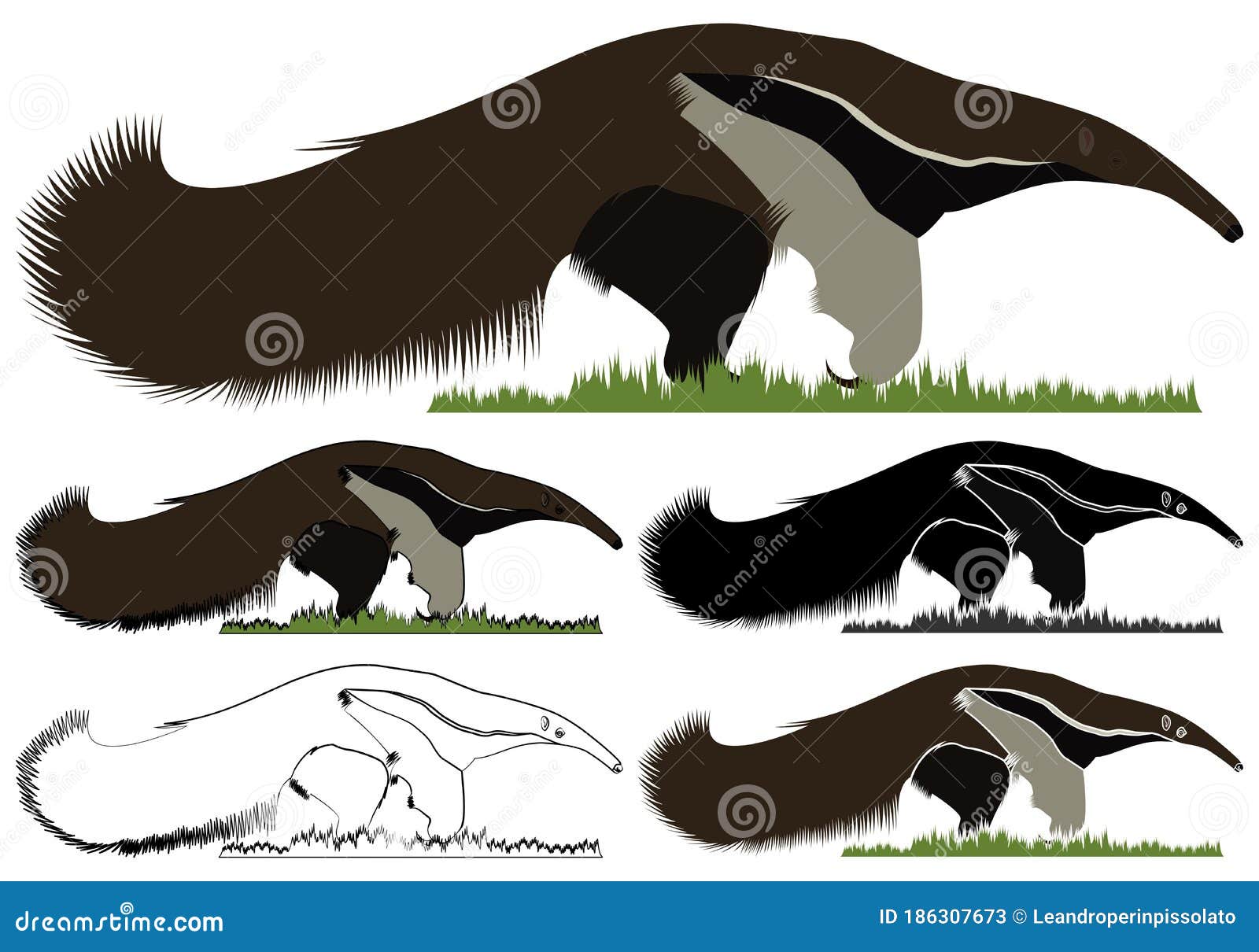 giant anteater bandeira in front view