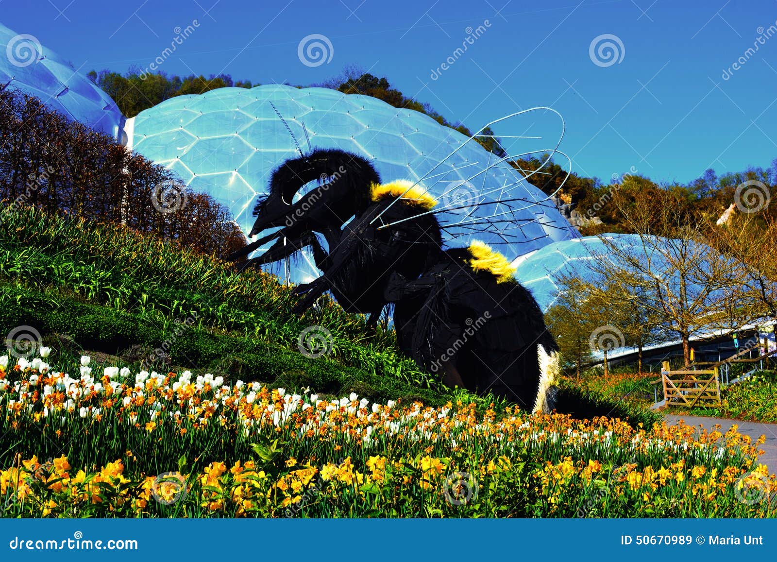 giant bee at the eden project in cornwall, england