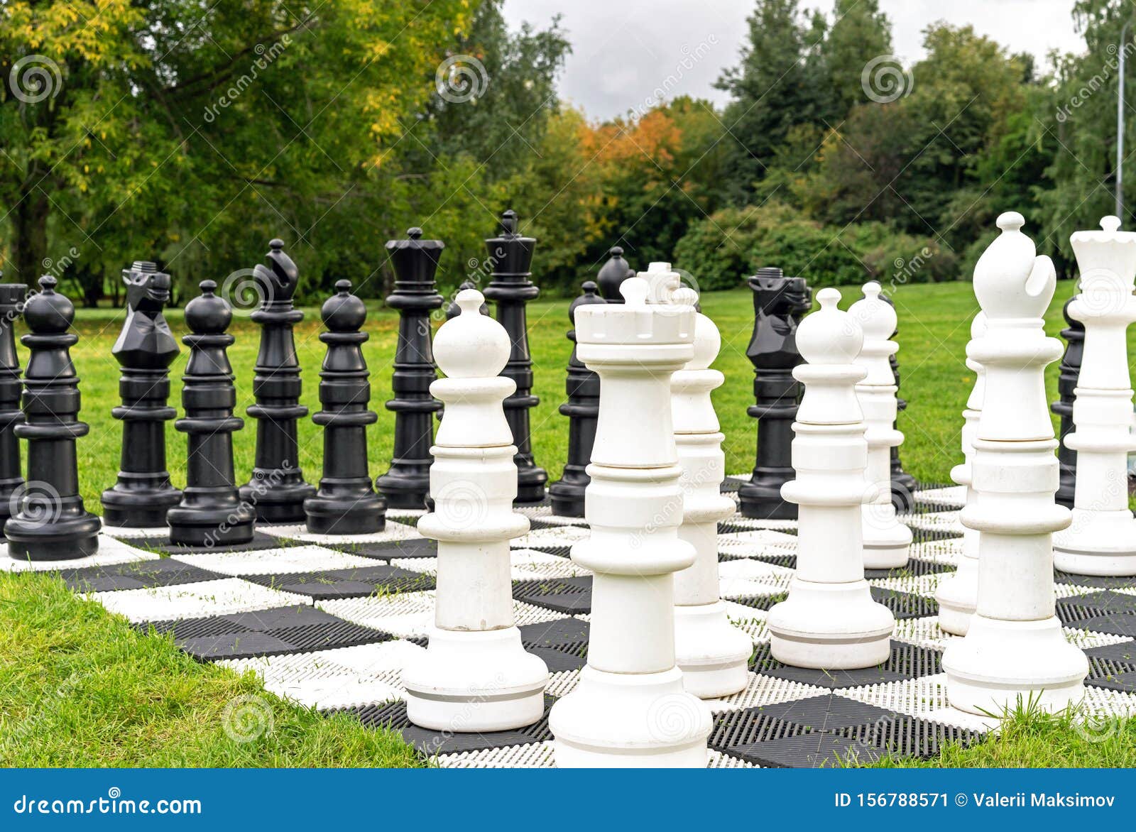 Chess Pieces on Background of Nature Stock - Image of nature, victory: 156788571