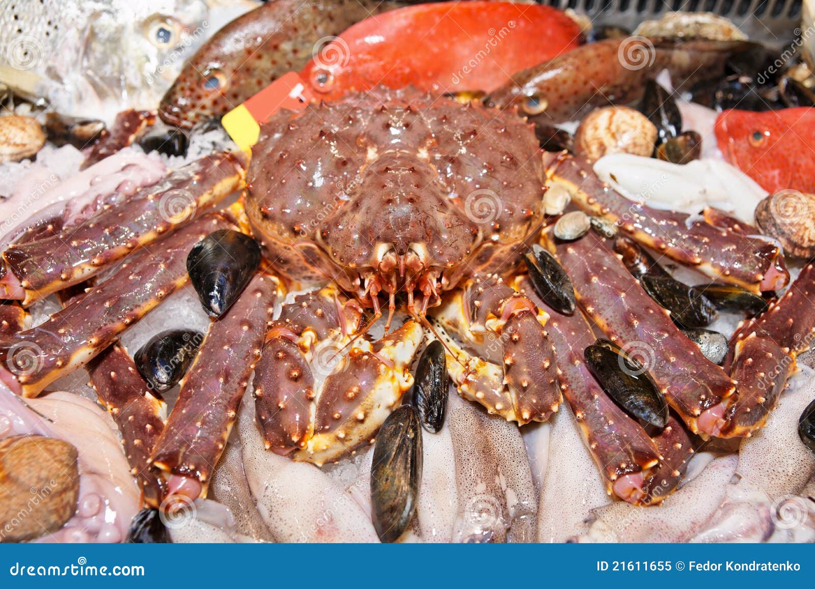 Giant Crab on Fish Market Display Stock Image Image of market, group
