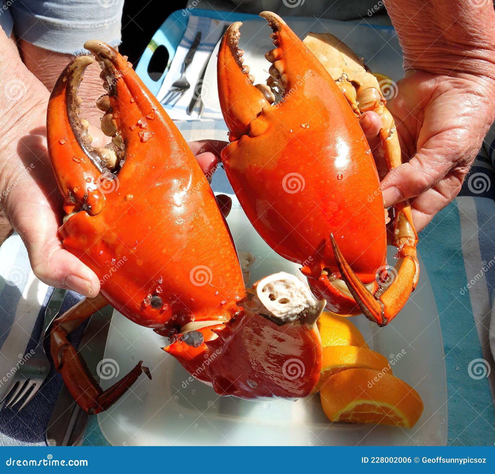 Giant Mud Crab Nippers. Cooked Platter Stock Image of nipper, australia: 228002006