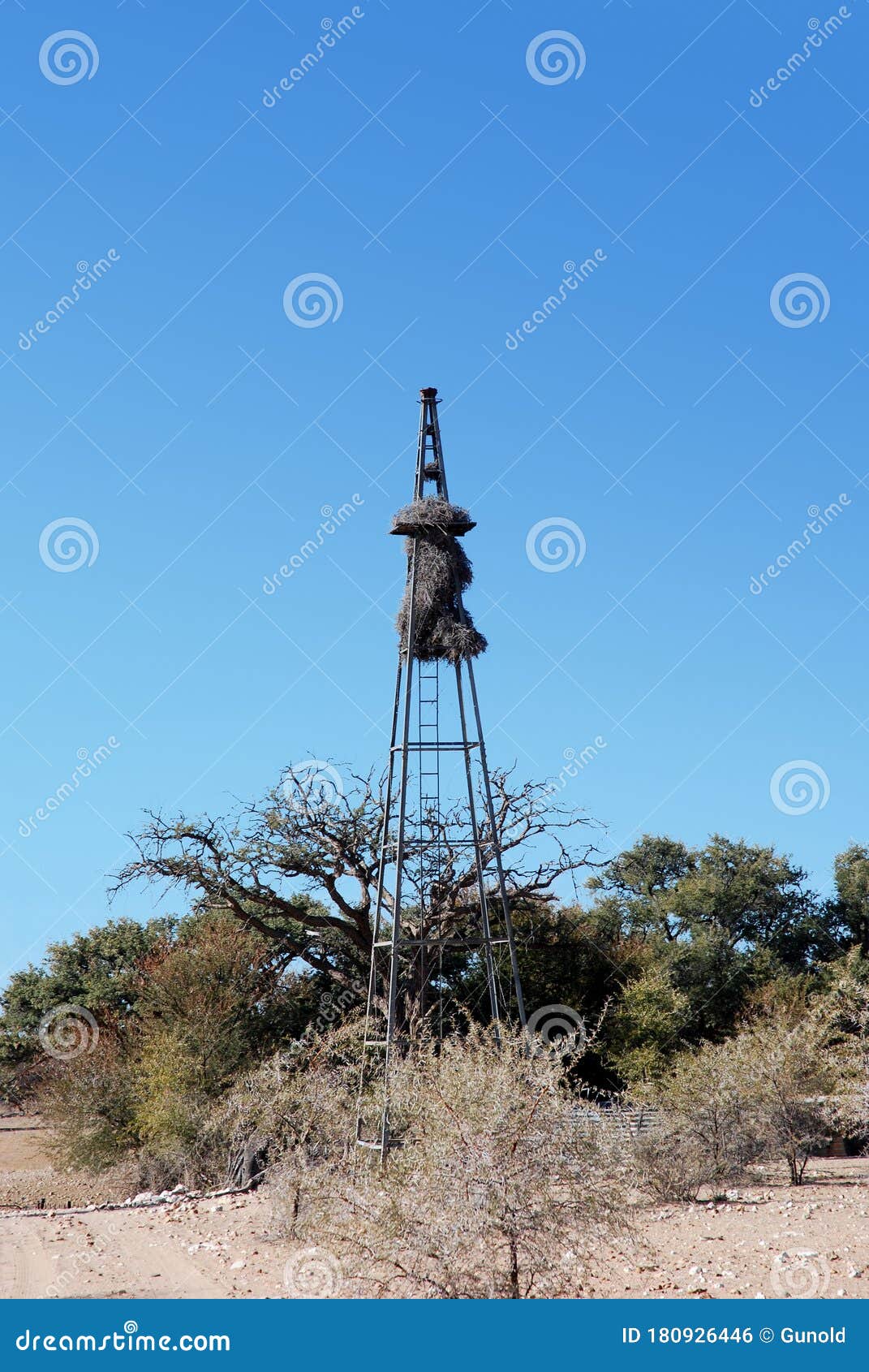 baya birds colony on an old wind wheel pole