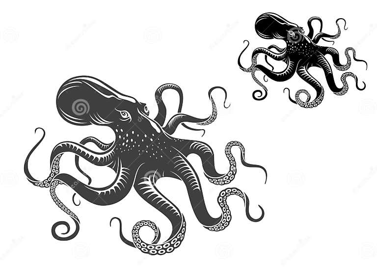 Giant octopus stock vector. Illustration of nature, ocean - 27376882