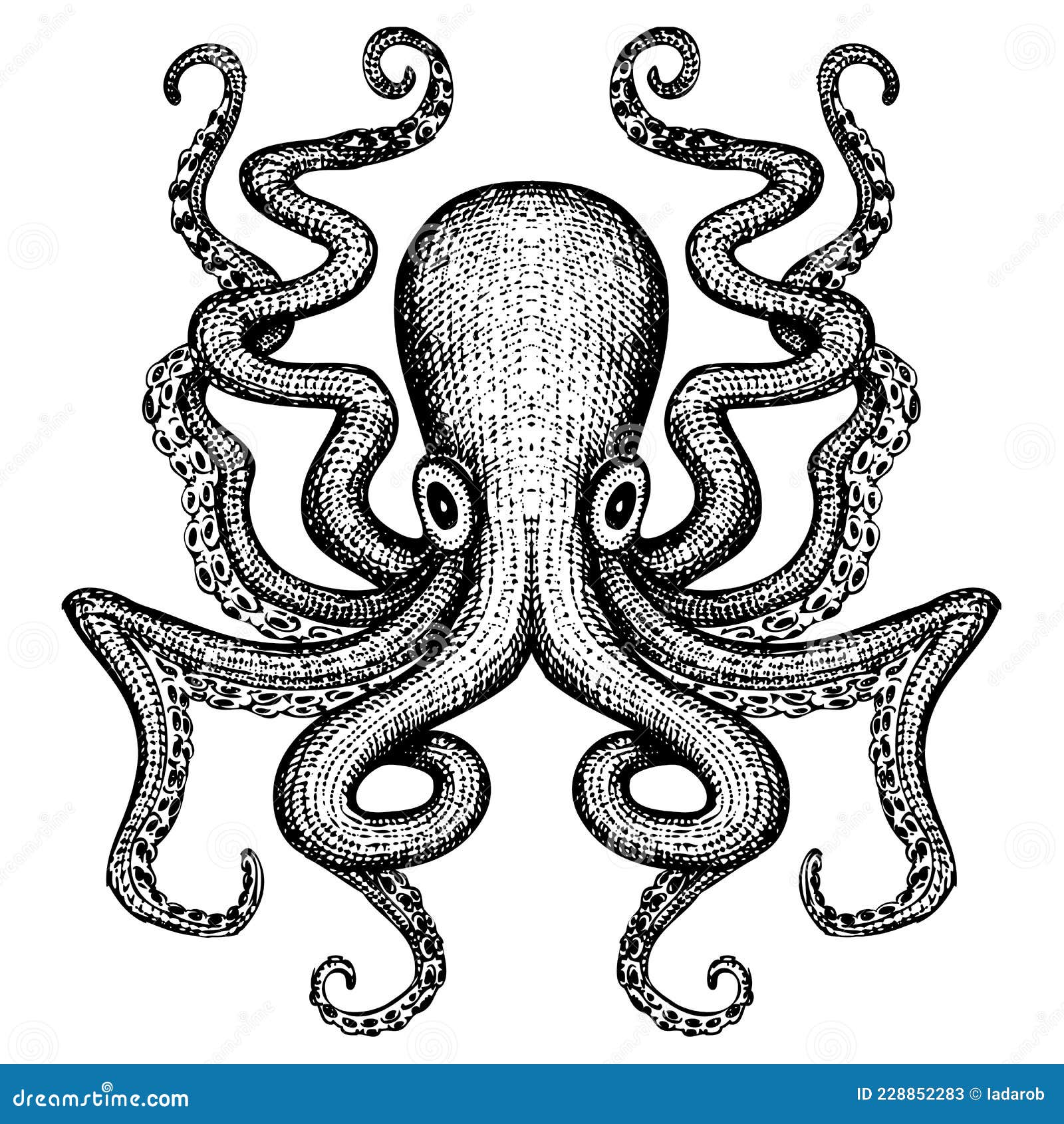 Giant Octopus Sea Monster Illustration Stock Vector - Illustration of ...