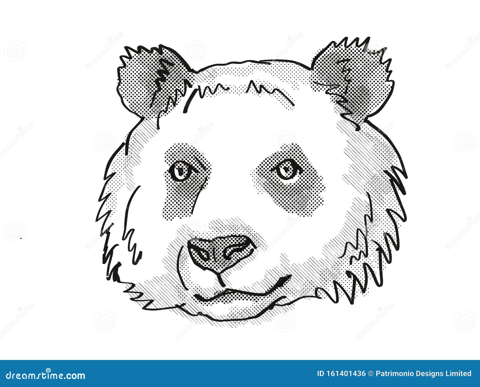 Giant Panda Endangered Wildlife Cartoon Retro Drawing Stock ...