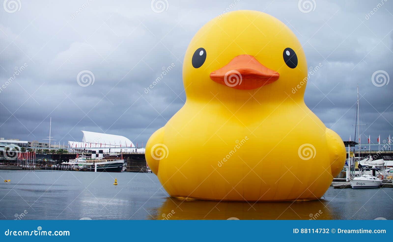 Giant Rubber Duck For Canada 150 In Toronto What The Duck Flare