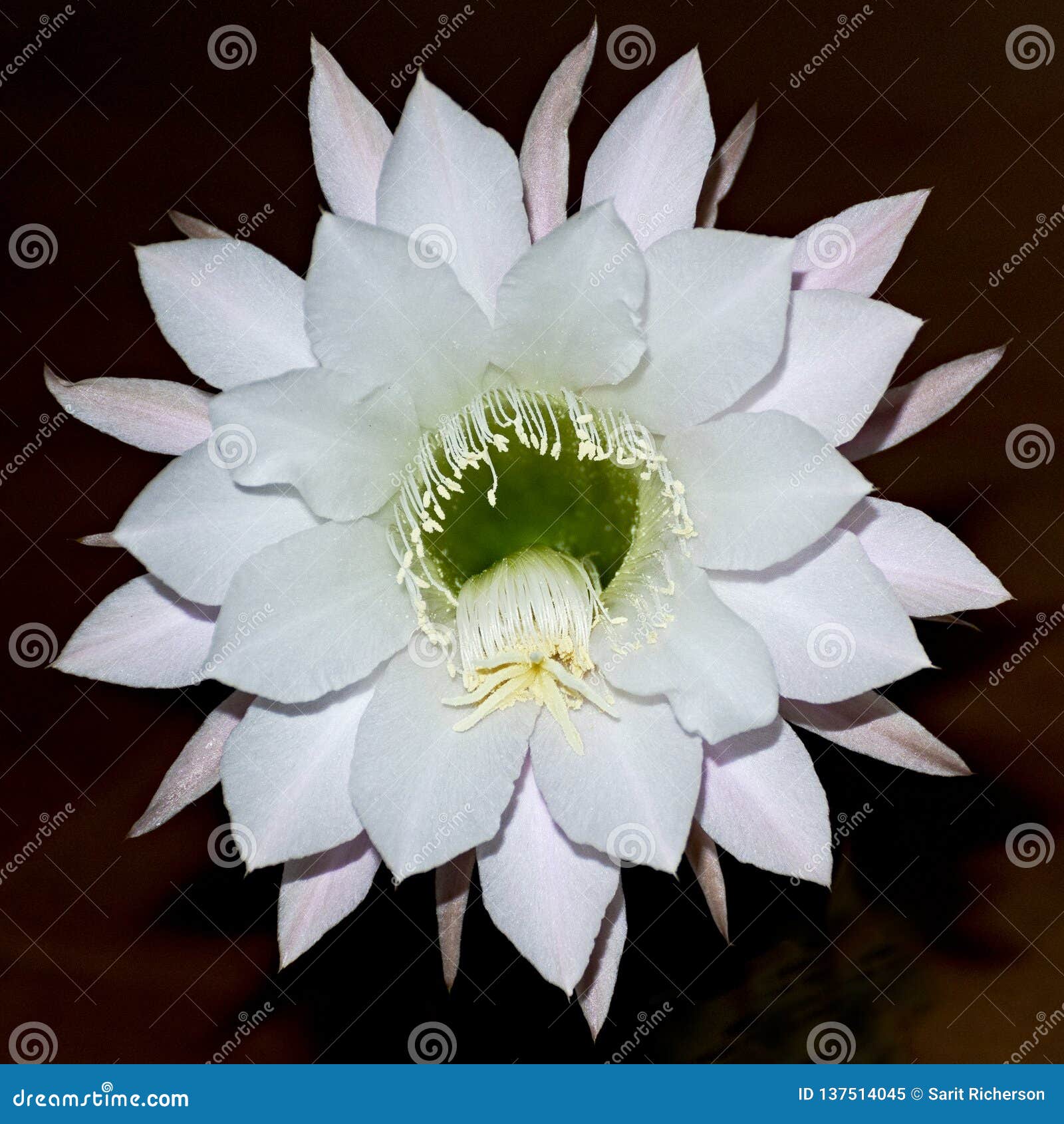 My Image 6