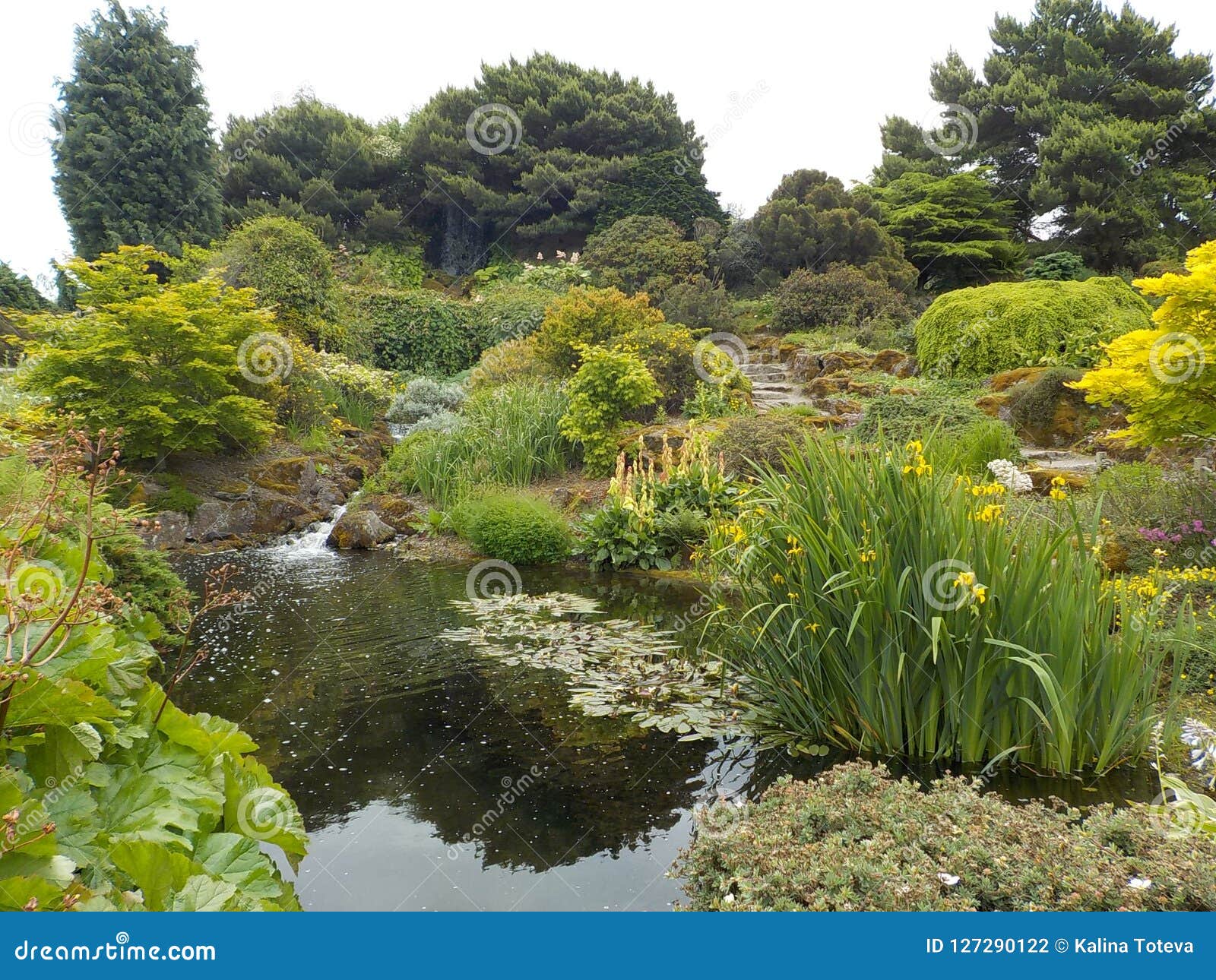 Giardini Botanici Reali Spettacolari Edimburgo Scozia Fotografia Stock Immagine Di Costruzione Attivit